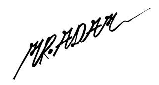 Mr. Adam Amsterdam Logo